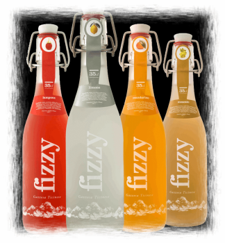 Fizzy Himbeere 46cl PET